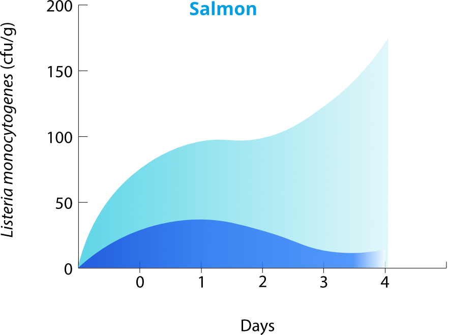 graphic_Salmon